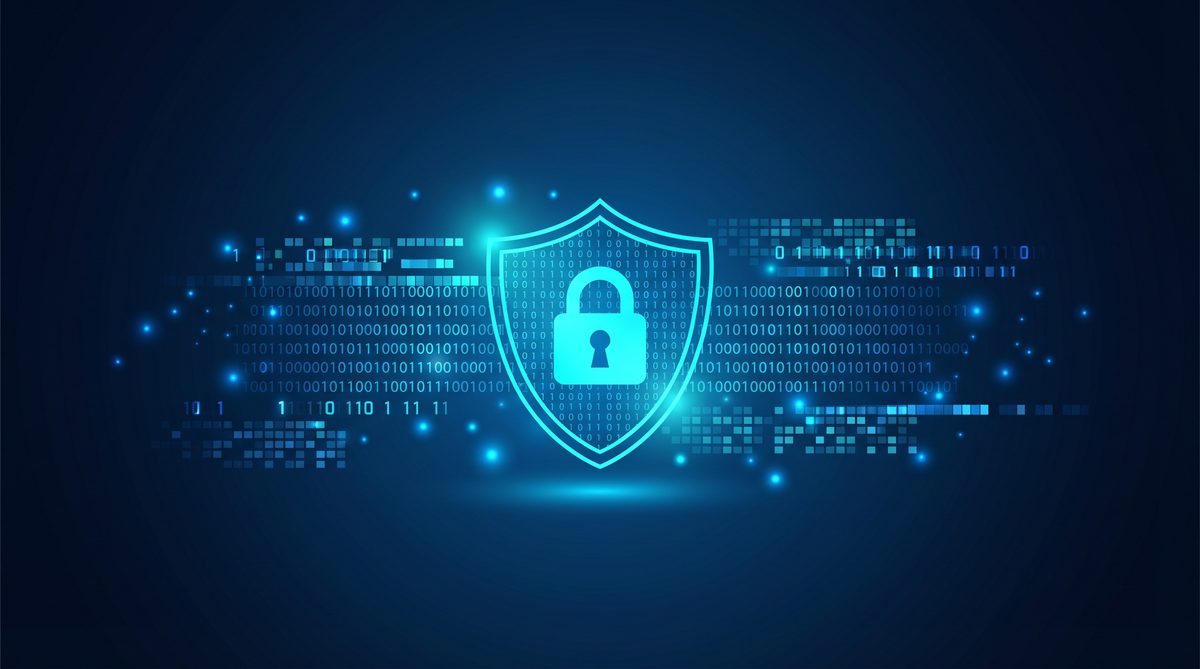 加速器海豚隐私安全保护